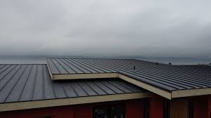 Steel Roofing in Delmar, DE